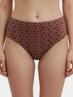 Susie Brown Red Printed Hipster Panty