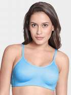 AI1008-AngelfallsBlue-front