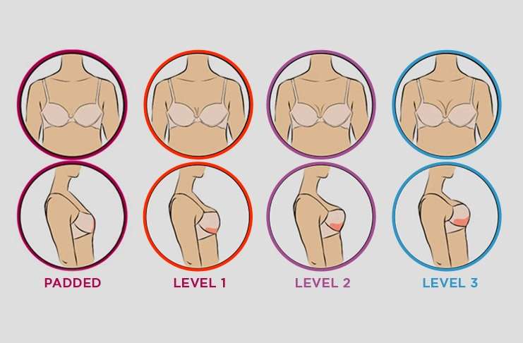 Difference between Padded Bra and Push-Up Bra