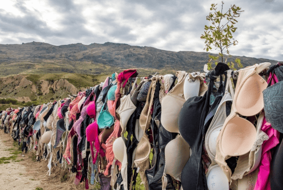 Everything You Need to Know About the Bra Fence