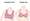 Beginner’s-Bra-vs-Normal-Bra-Based-on-Functionality