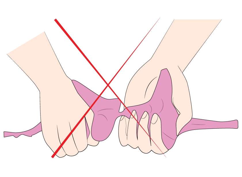Do Not Wring Beginners Bra