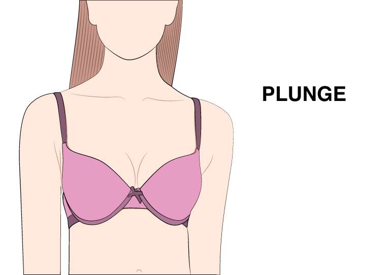 Plunge Bra