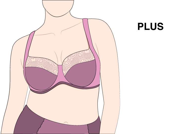 Plus Size Bra