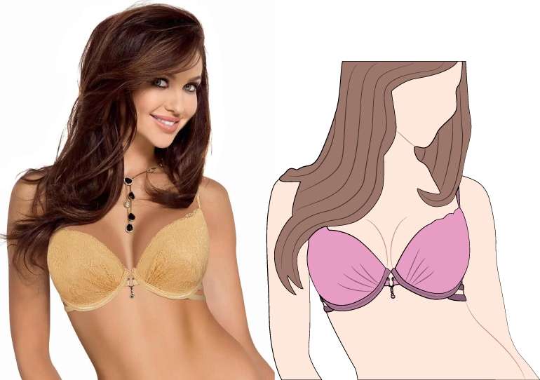 Plus size bra for Girls Who Have a Curvaceous Structure