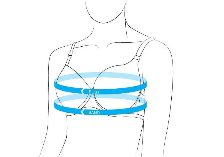 How to measure bra size for plus-size chests?