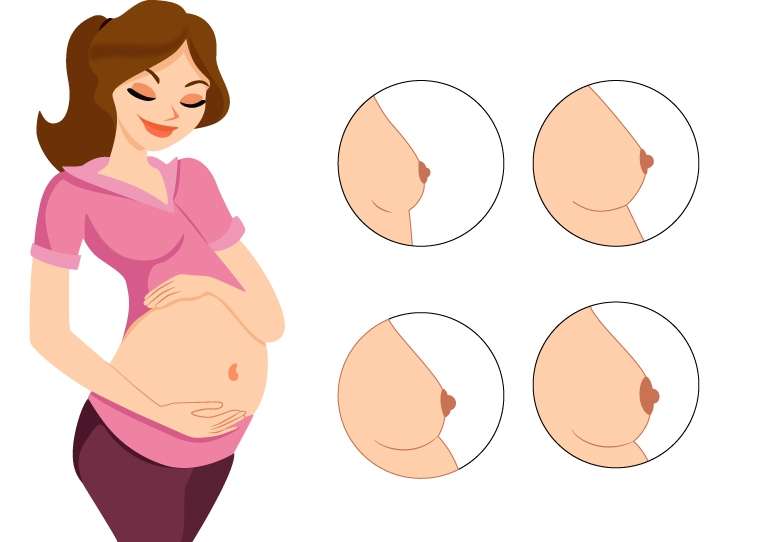 Plus size bra for Pre and Postpartum Pregnant Women