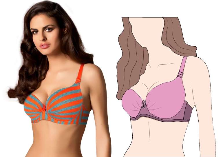 What is Plus Size Bra