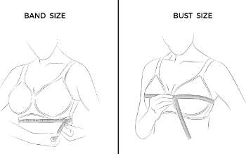 bust-and-band-size