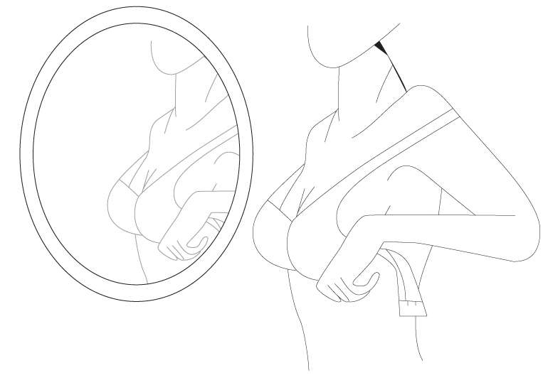 Consider the bra Cup Size