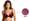 Mesh Fabric Bra