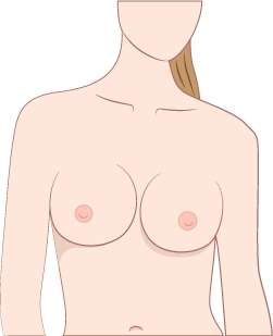 Round Breasts